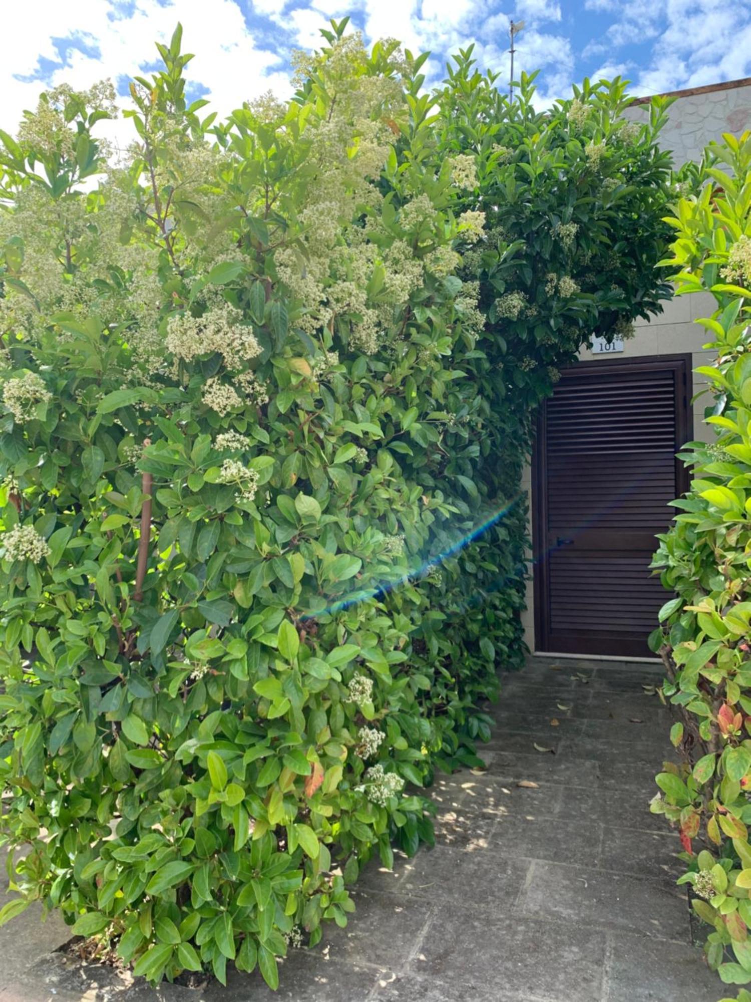 Agriturismo Tenuta Don Giovanni Мелендуньо Екстериор снимка